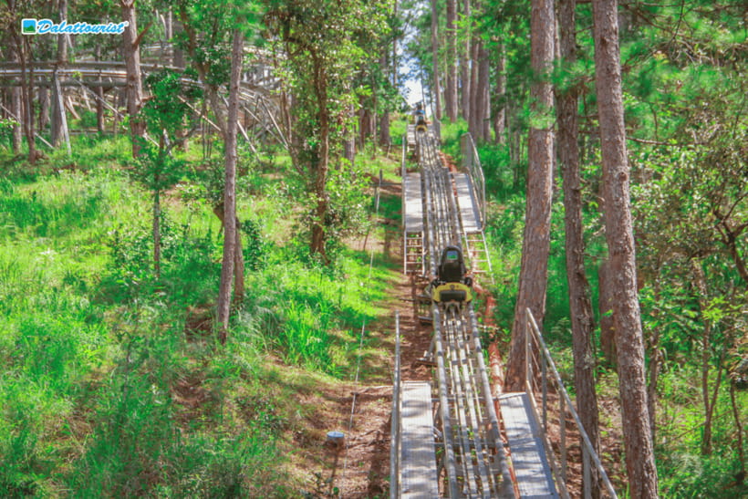 Da Lat: Datanla New Alpine Coaster Experience Entry Ticket - Key points to know before you go