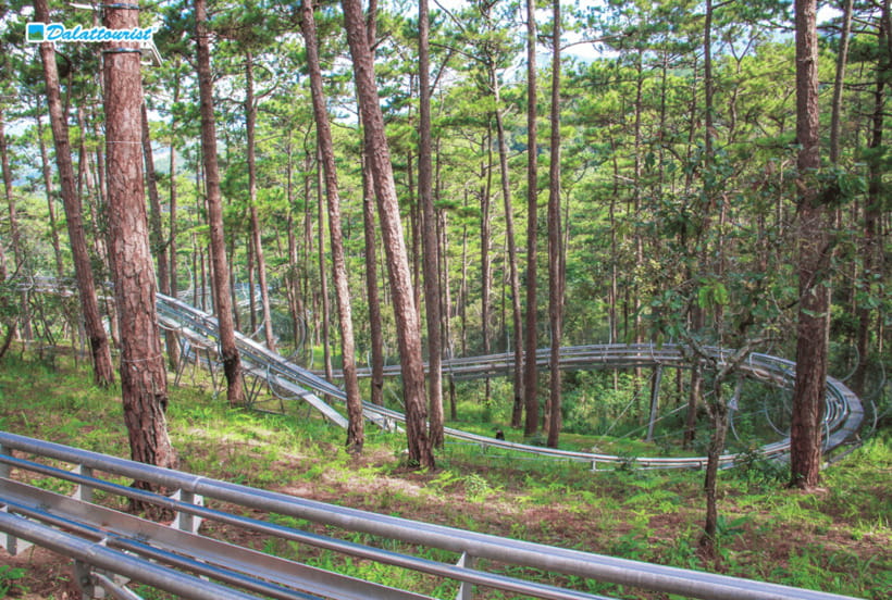Da Lat: Datanla New Alpine Coaster Experience Entry Ticket - The ride through Da Lat’s pine forest
