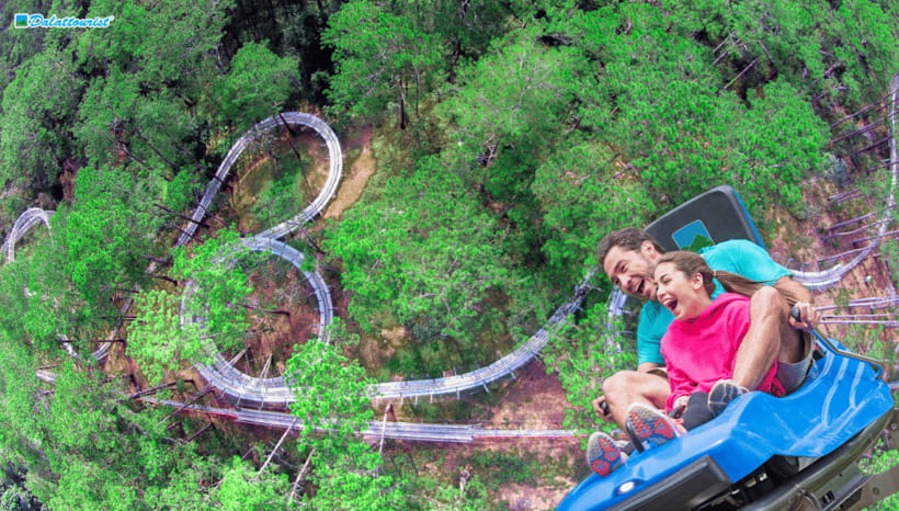 Da Lat: Datanla New Alpine Coaster Experience Entry Ticket - What happens at the ticket counter