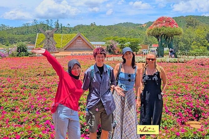 Da Lat: Half-Day Morning - Clay Tunnel, Crazy House, Datanla Fall - Crazy House: an hour inside Da Lat’s oddest building