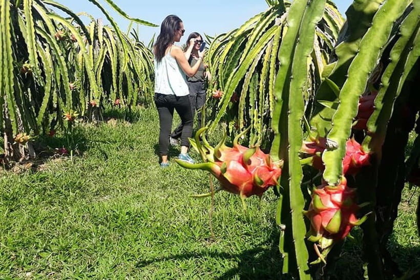 Da Lat Loop Tour On Private Car - What the $57 price includes