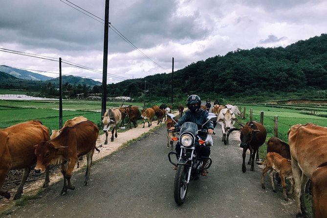 Da Lat's Countryside & Waterfalls Day Tour by Motorbike - Why this motorbike day works so well around Da Lat