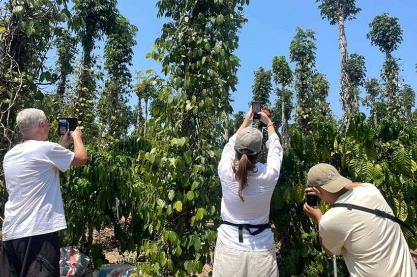 Dalat: 3 Waterfalls Day Tour — Datanla, Pongour & Elephant - Me Linh Coffee Garden explains Dalat’s coffee culture