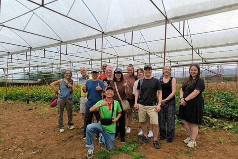 Dalat Countryside & Pongour Waterfall Tours (Small Group) - Pongour Waterfall, the day’s big natural reward