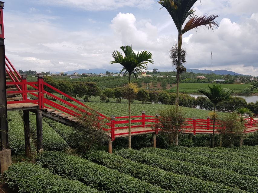 Dalat: Countryside Tour with Silk Village & Elephant Falls - Silk from silkworms to woven fabric