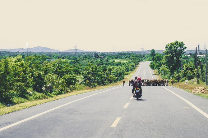 Dalat Go Kart - Mongoland & Dalat Countryside Group Tour - Cao Nguyen Hoa and the real-life Mario Kart start