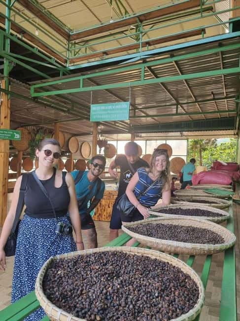 Dalat: Mario kart - Mongo Land - Countryside Tour - Coffee, weasel coffee, and the taste of Da Lat