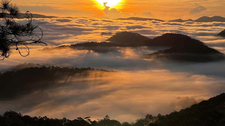 Dalat: Sunrise Trekking and Cloud Hunting experience - What the $36 price covers