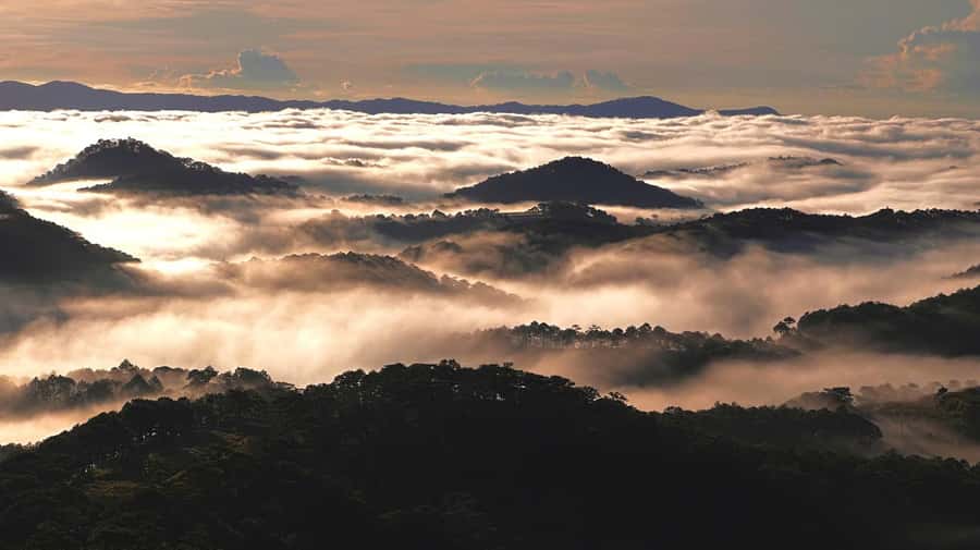 Dalat: Sunrise Trekking and Cloud Hunting experience - Weather, fitness, and what to pack
