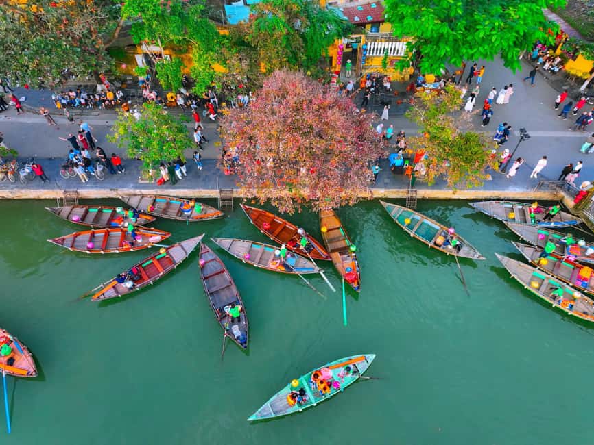 Danang: Hoi An, Marble Mountains or Bay Mau Coconut Forest - Is $30 good value?