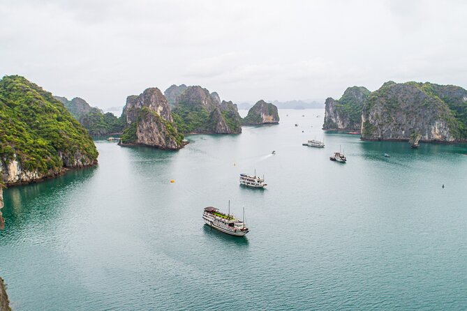 Day trip to Halong Bay from Hanoi - Lunch with seafood and a vegetarian option