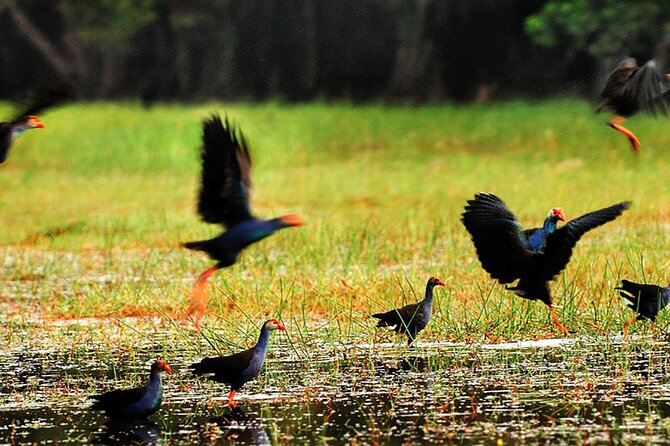 Discover Mua Xuan Nature Reserve - A 30-minute walk among trees and waterways