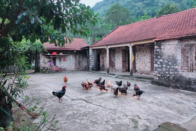 Discover Trang An Natural World Heritage, Bich Dong Pagoda, Cycling Day Tour - Bich Dong Pagoda beneath the cliffs