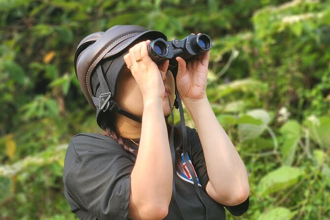 Endangered Monkeys Watching - Red Shanked Douc Langurs - Finding the first langur family