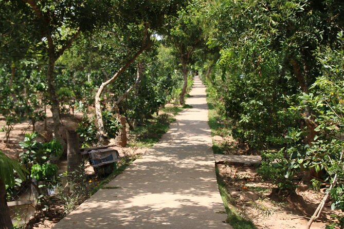 Essential Mekong Delta: Highlights Tour from Ho Chi Minh City - Why this Mekong day trip works