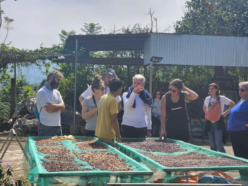 Experience specialty coffee with sustainable coffee farmers - Brewing with light, medium, and dark roasts