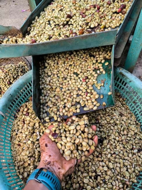 Experience specialty coffee with sustainable coffee farmers - How personal is the group?