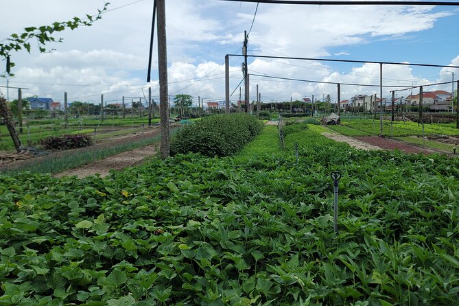 Explore Hoi An ancient town and local villages with a local guide - Tra Que Vegetable Village and the cooking experience