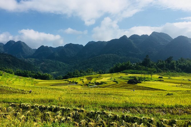 Explore Mai Chau - Pu Luong - Ninh Binh 4 Days / 3 Nights - Five things to know before booking