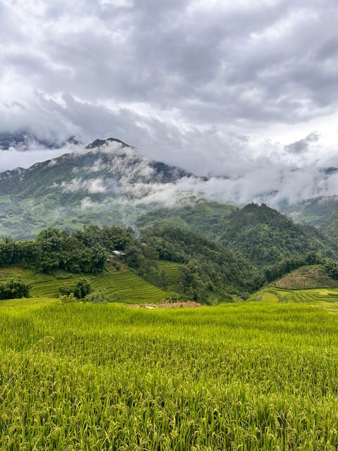 Explore Sapa by TrekkingAdventures, Mountain,Rice fields - Why this Sapa trek feels different