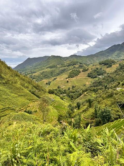 Explore Sapa by TrekkingAdventures, Mountain,Rice fields - Lao Chai, lunch, and Black Hmong culture