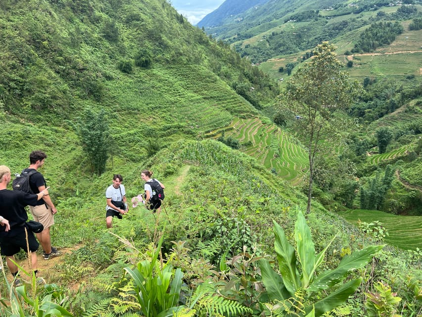 Explore Sapa by TrekkingAdventures, Mountain,Rice fields - Choosing the right difficulty