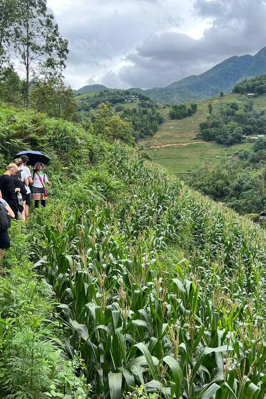 Explore Sapa by TrekkingAdventures, Mountain,Rice fields - Weather, crowds, and the selling issue