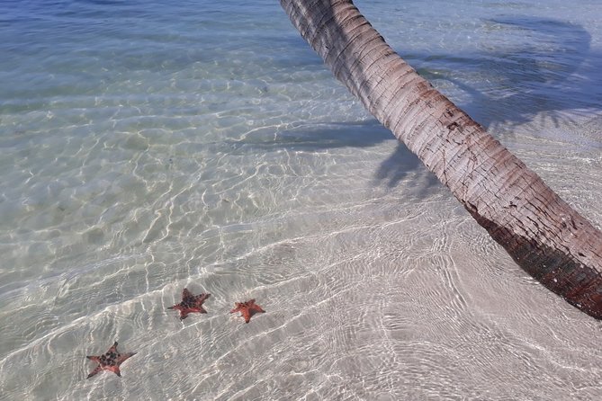 Explore the north of Phu Quoc island by private US Army Jeeps - Who will enjoy this most