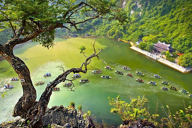 Exploring Bai Dinh Pagoda -Trang An -Mua Cave with Buffet Lunch 1 Day From Hanoi - Buffet lunch with Vietnamese specialties