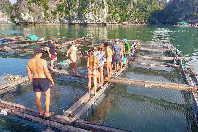 From Ha Noi/Cat Ba: Full-Day Cruise to Lan Ha bay - Ha Long Bay - Swimming in a Calm Lagoon Before Lunch