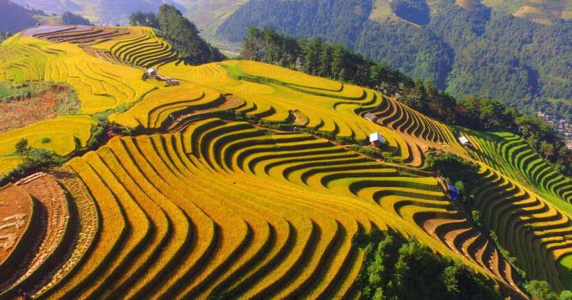 From Hanoi: 1-day Sapa Trekking Tour With Overnight Bus - Walking from Y Linh Ho into Muong Hoa Valley