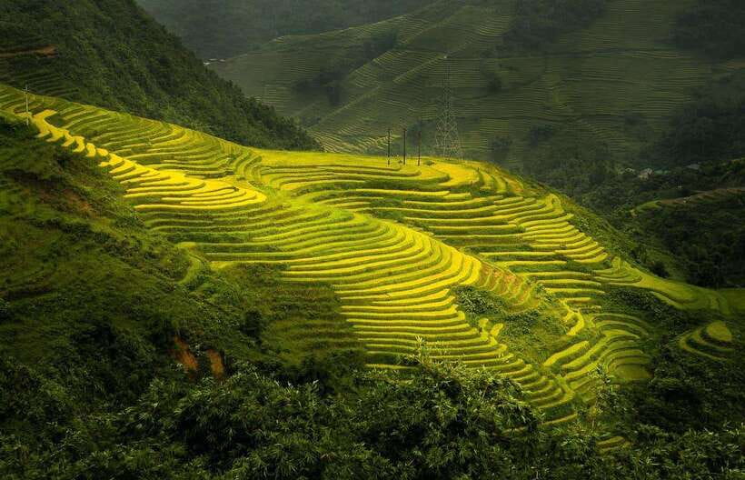 From Hanoi: 1-day Sapa Trekking Tour With Overnight Bus - Leaving Hanoi at 9:30 PM