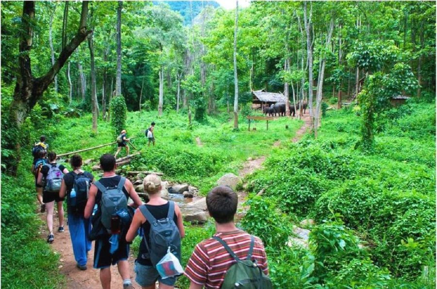 From Hanoi: 2-Day Ha Long Bay Tour with Ninh Binh and Cruise - Sung Sot Cave and the shapes inside the rock