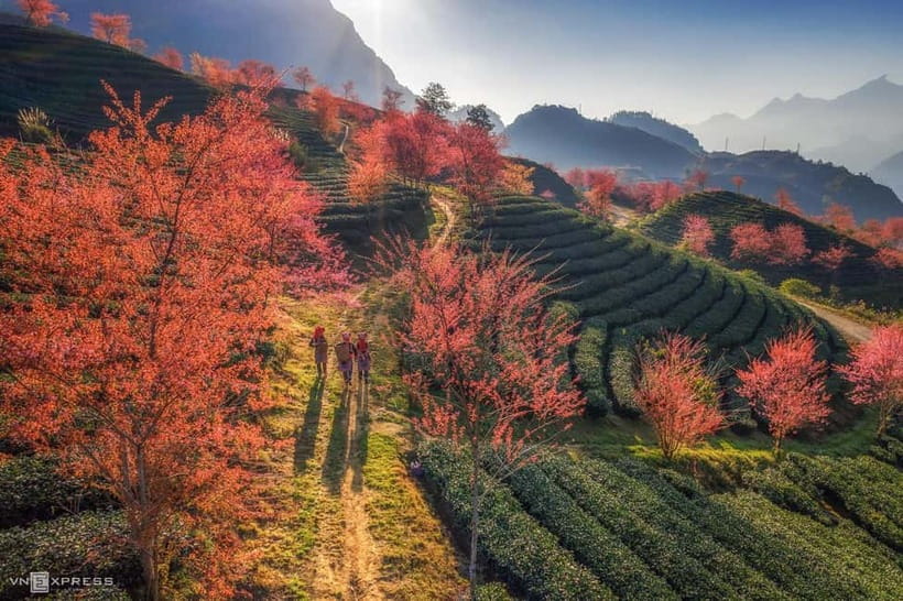 From Hanoi: 2-Day Luxury Sapa Trekking Tour with Homestay - Day one: Y Linh Ho and Lao Chai