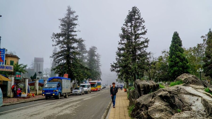 From Hanoi: 2-Day Overnight Sapa Tour by Limousine - The Muong Hoa valley trek