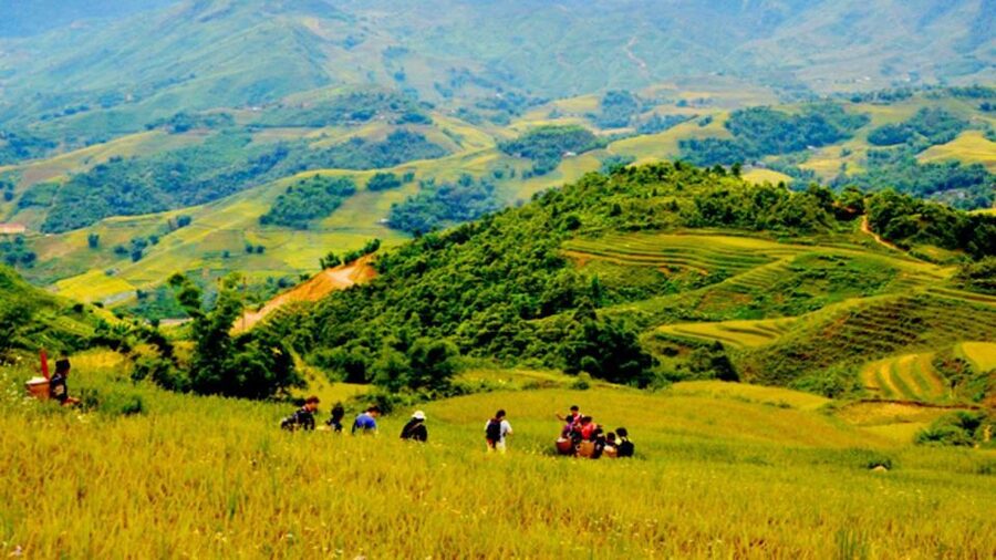 From Hanoi: 2-Day Overnight Sapa Tour by Limousine - Weather, packing, and cash