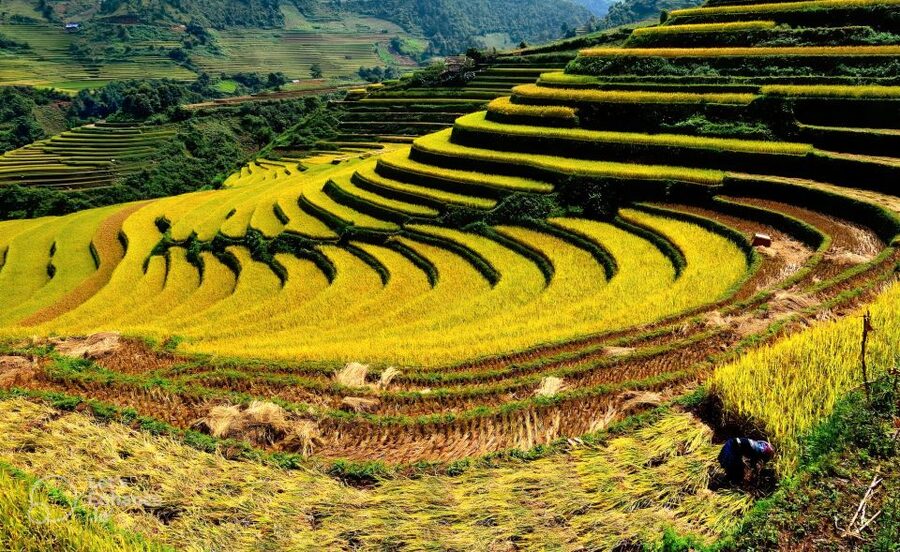 From Hanoi: 2-Day Sapa-Fansipan Peak & Trek & Ha Giang Bus - The Lao Chai and Ta Van trek