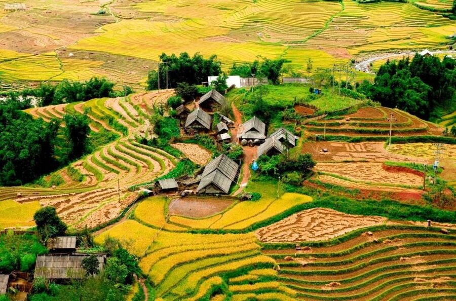From Hanoi: 2-Day Sapa Trekking Trip with Homestay & Meals - Walking from Lao Chai through three rural villages