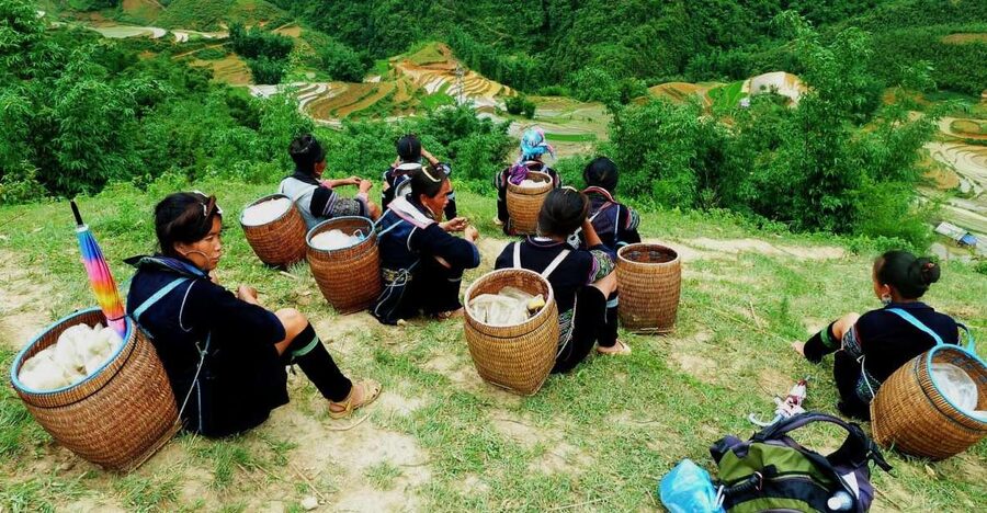 From Hanoi: Explore Sapa 2-Day Tour - Key points to know before booking