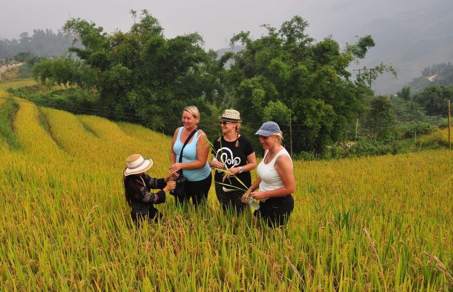 From Hanoi: Explore Sapa 2-Day Tour - Cat Cat Village and its 2.5-kilometer walk
