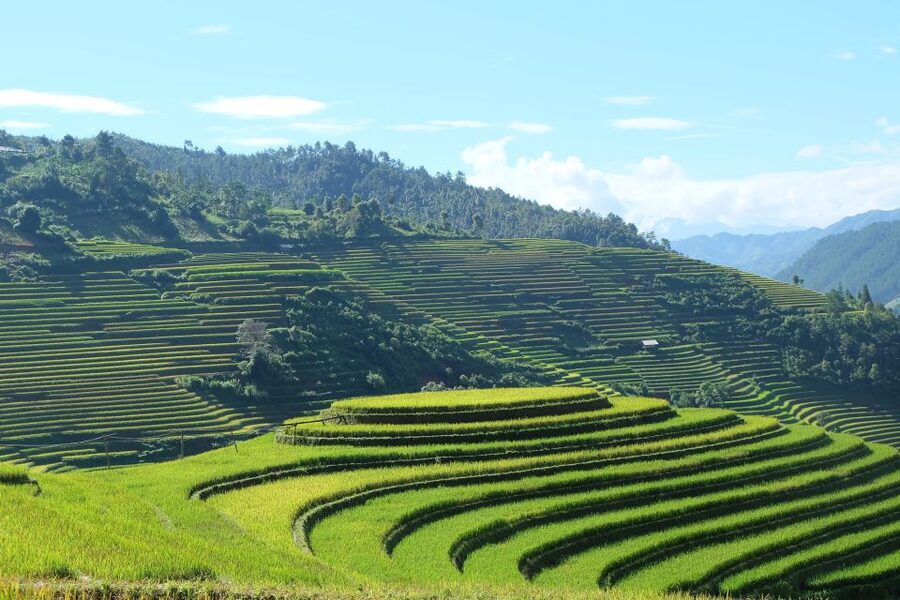 From Hanoi: Explore Sapa 2-Day Tour - Muong Hoa Valley, Lao Chai, and Ta Van