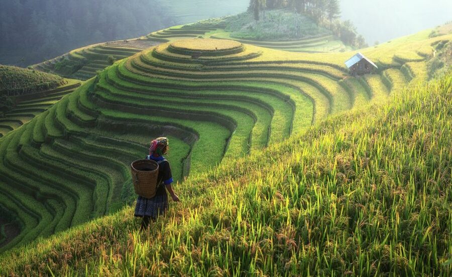 From Hanoi: Explore Sapa 2-Day Tour - Weather, footwear, and physical demands