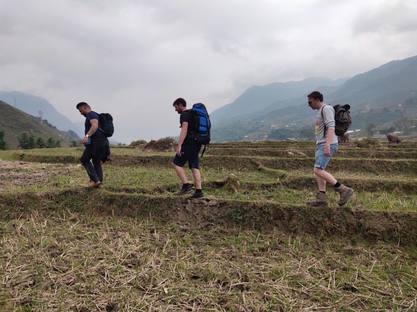 From Hanoi: Guided 2-Day Tour of Sa Pa with Lunch & Dinner - Who should book this Sa Pa tour?