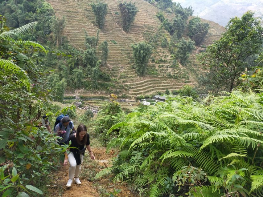 From Hanoi: Guided 2-Day Tour of Sa Pa with Lunch & Dinner - Ta Van homestay and the family evening