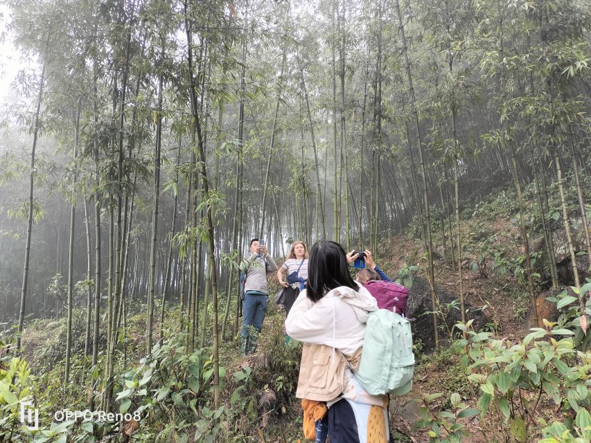 From Hanoi: Guided 2-Day Tour of Sa Pa with Lunch & Dinner - The practical side of the trek