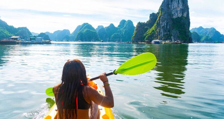 From Hanoi: Halong Bay Day Trip with Lunch and Transfers - Who should book this day trip?