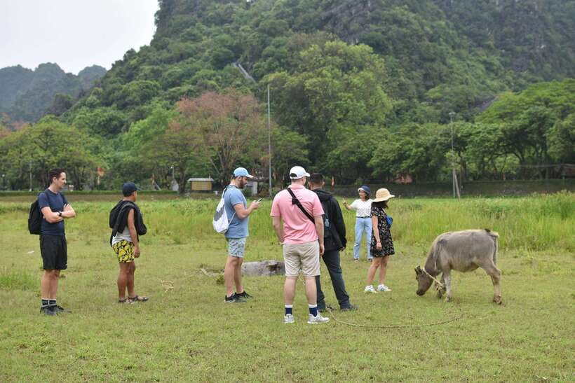 From Hanoi: Ninh Binh, Hoa Lu, Tam Coc, & Mua Cave Day-Trip - Climbing Mua Cave and Lying Dragon Mountain