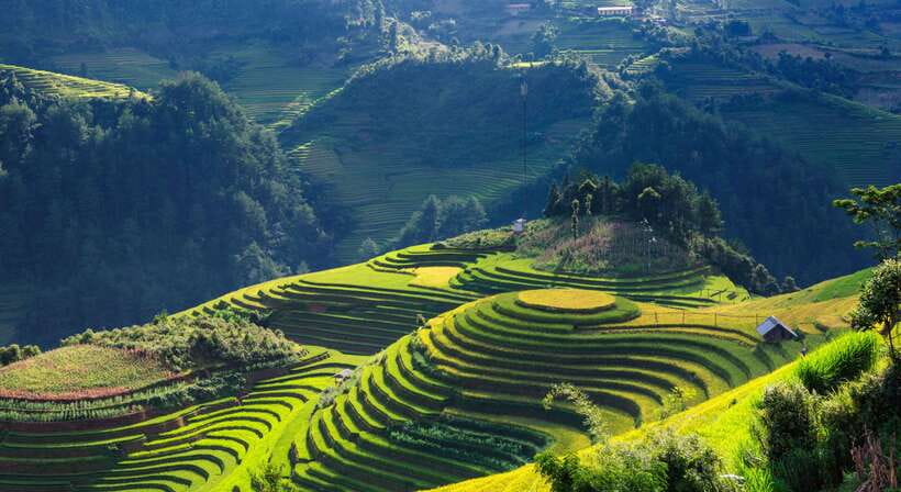 From Hanoi: Premium 3-Day Sapa Adventure with DCAR Limousine - Getting from Hanoi to Sapa in a DCAR limousine