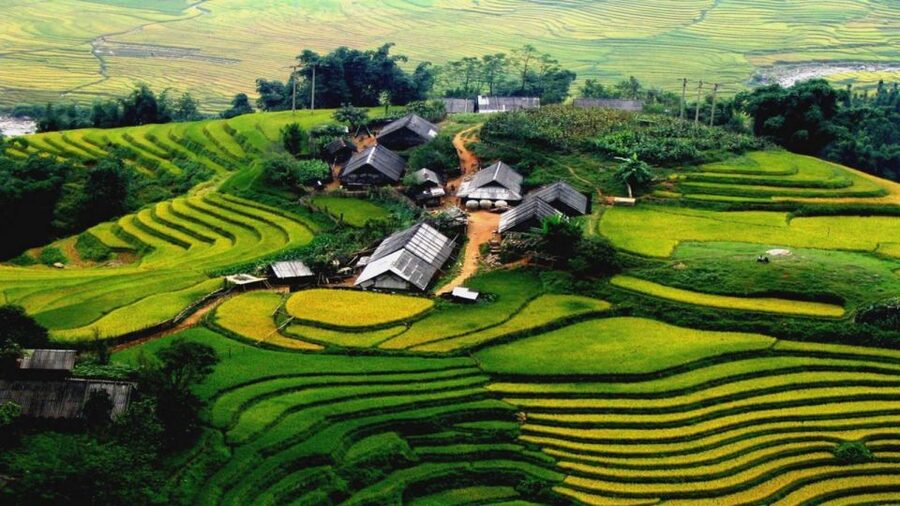 From Hanoi: Sapa 3-Day Medium Trek and Limousine Trip - Day one: Hanoi to Sapa and Sin Chai
