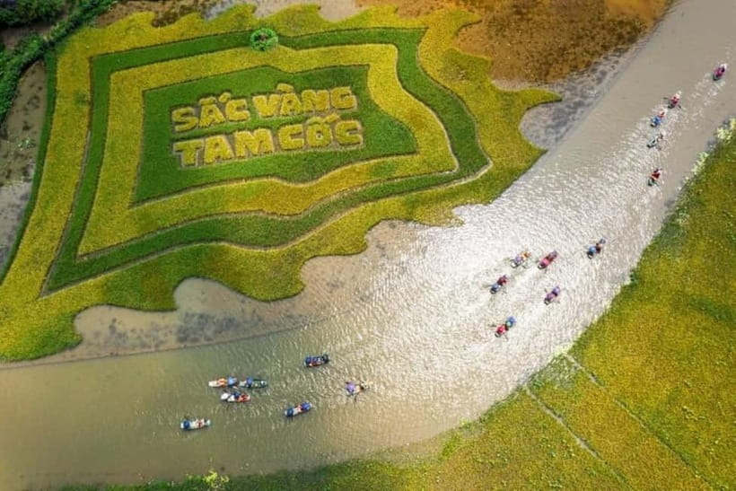 From Hanoi: Tam Coc Boat Trip and Hoa Lu & Mua Cave Tour - Key points to know before you book